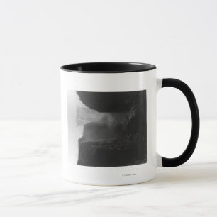 Victoria Falls in Rhodesia FotografRhodesia Tasse