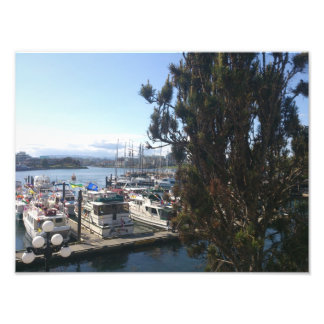 Victoria Harbor Fotodruck