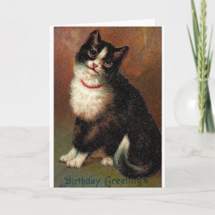 Victorian Black And White Cat Birthday Card Karte