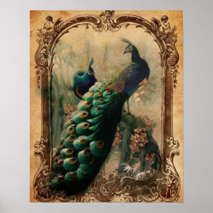 victorianischer vintage-blumen-pariser Pfau Poster