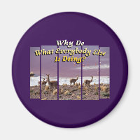 Vicuña Guanaco Lover - Reisekostkatalog
