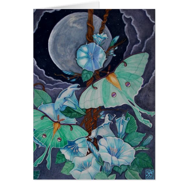 Vida de la Luna (Vorne)