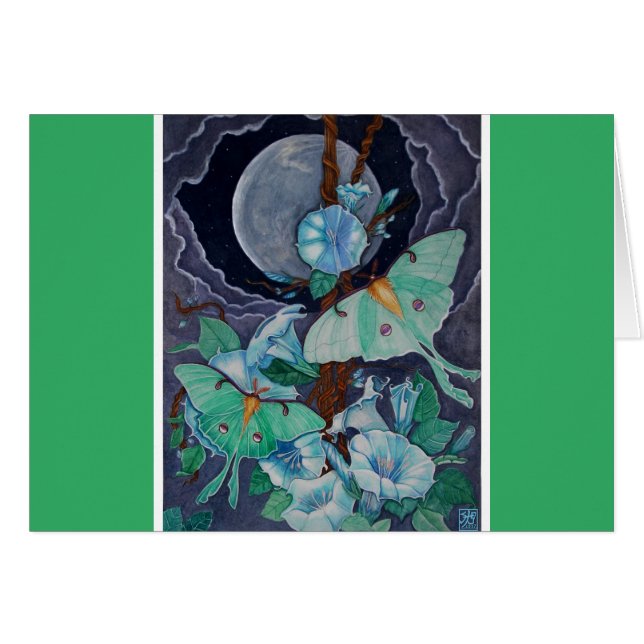 Vida de la Luna (Vorderseite (Horizontal))