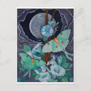 Vida de la Luna Postkarte