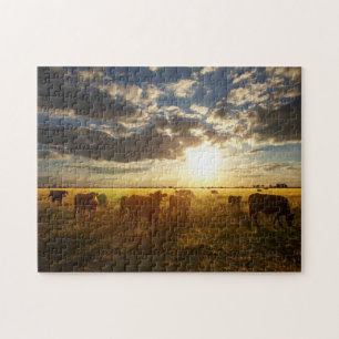 Vieh auf dem Gebiet, Sonnenuntergang Puzzle
