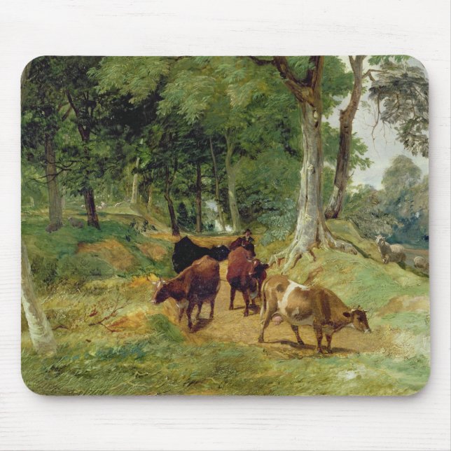 Vieh auf einem Devonshire Weg Mousepad (Vorne)