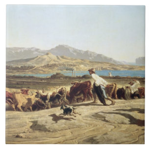 Vieh, das nahe Marseille, 1853 in Herden lebt (Öl Fliese