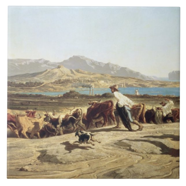 Vieh, das nahe Marseille, 1853 in Herden lebt (Öl Fliese (Vorderseite)