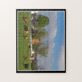 Vieh, das Puzzlespiel 11x14 durch Thomas Minutolo Puzzle