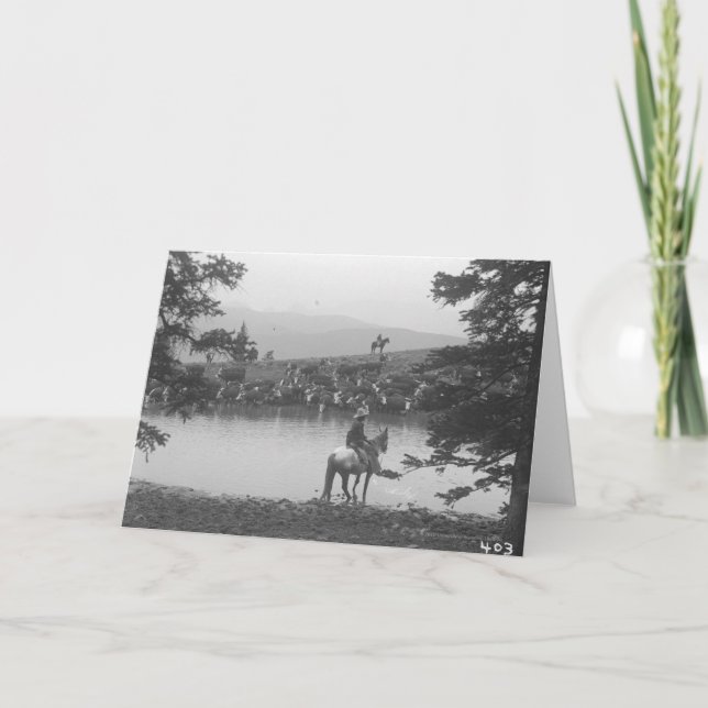 Vieh durch einen Teich mit zwei Cowboys Karte (Vorderseite)