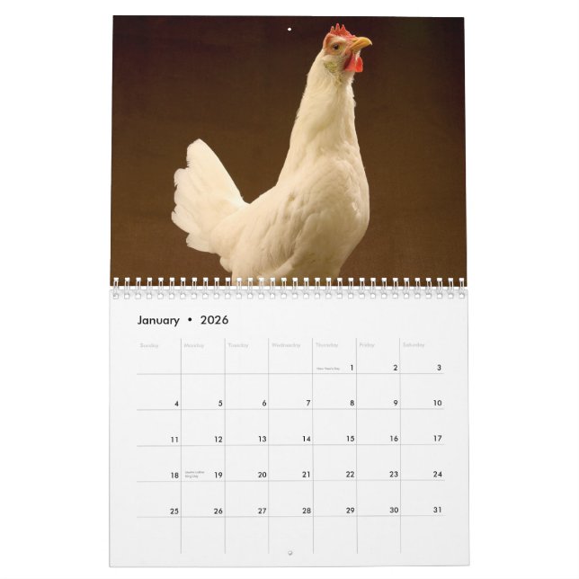 Vieh-Fotografie-Kalender Kalender (Jan 2026)