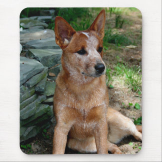 Vieh-Hund Mousepad
