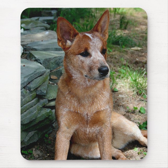 Vieh-Hund Mousepad (Vorne)