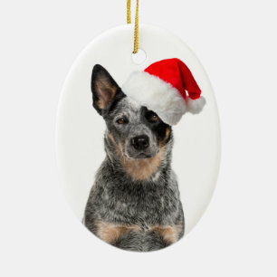 Vieh-Hundeweihnachtsverzierung Keramik Ornament