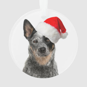 Vieh-Hundeweihnachtsverzierung Ornament