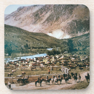 Vieh-Ranch, Colorado, 1899 (Foto) Untersetzer