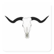 Vieh-Schädel Texas Longhorn - Hörner