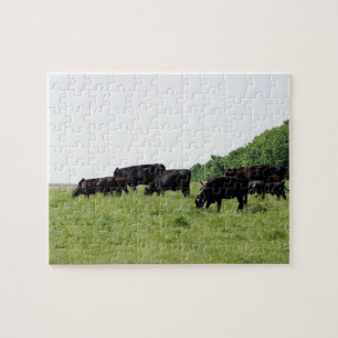 Vieh schwarzes Angus Puzzle