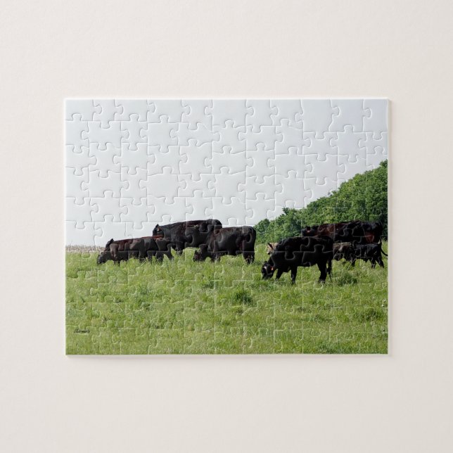 Vieh schwarzes Angus Puzzle (Horizontal)