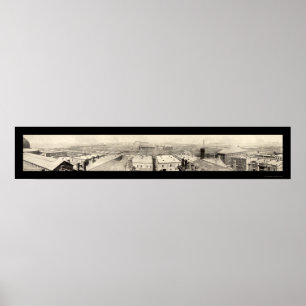 Viehhof-Chicago-Foto 1899 Poster