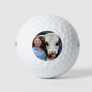 Viehschau Kuh Foto Anpassen Golfball