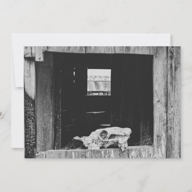 Viehzucht Feiertagskarte (Vorderseite)