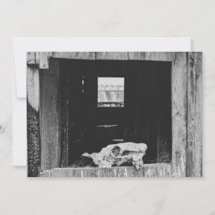 Viehzucht Feiertagskarte