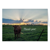 Viehzucht Sonnenuntergang Danke Karte