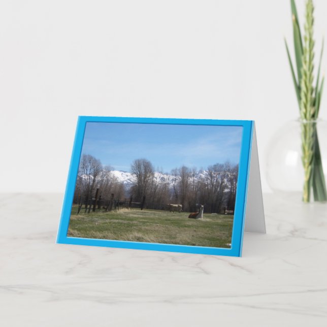 Viehzucht und Ruby Dankeskarte (Vorderseite)