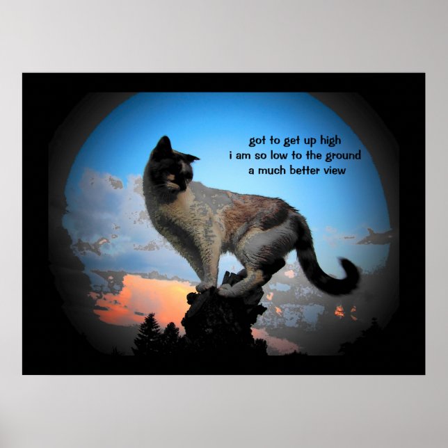 Viel besser Blick Katze Haiku Poster (Vorne)