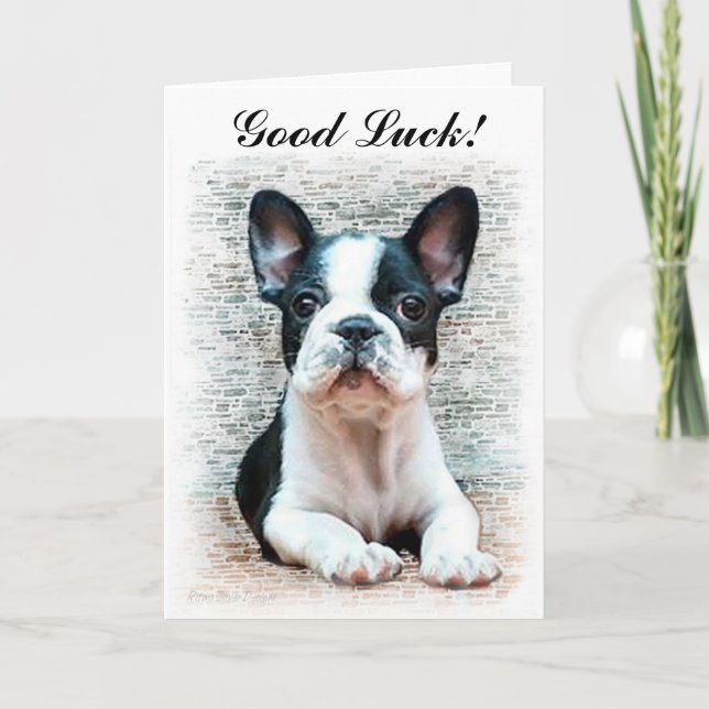Viel Glück French Bulldog Welpenkarte Karte (Vorderseite)
