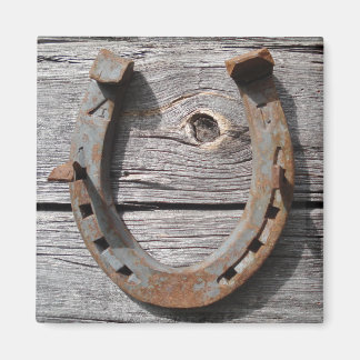 Viel Glück Horseshoe auf Holzzaun Magnet