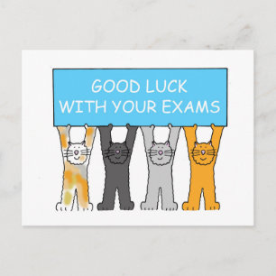 viel Glück mit Ihren Exams Cartoon Katzen Postkarte