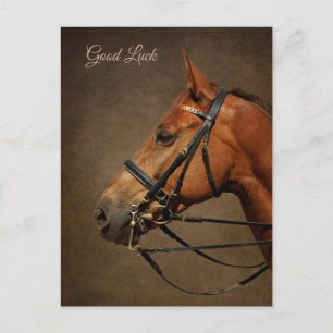 Viel Glück-Postkarte für Bay Horse und Bridle Postkarte