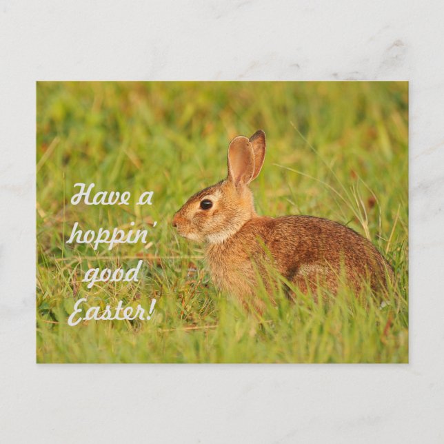 Viel Spaß an Ostern! Postkarte (Vorderseite)