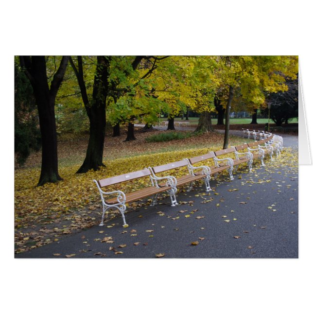 Viele Bänke (Vorderseite (Horizontal))