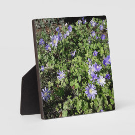 Viele Blume Fotoplatte