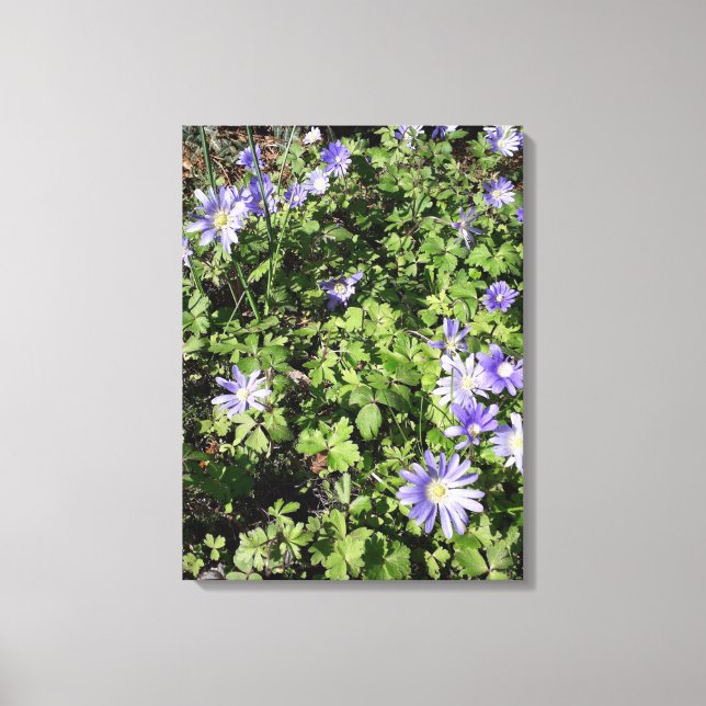 Viele Blume Leinwanddruck (Vorderseite)