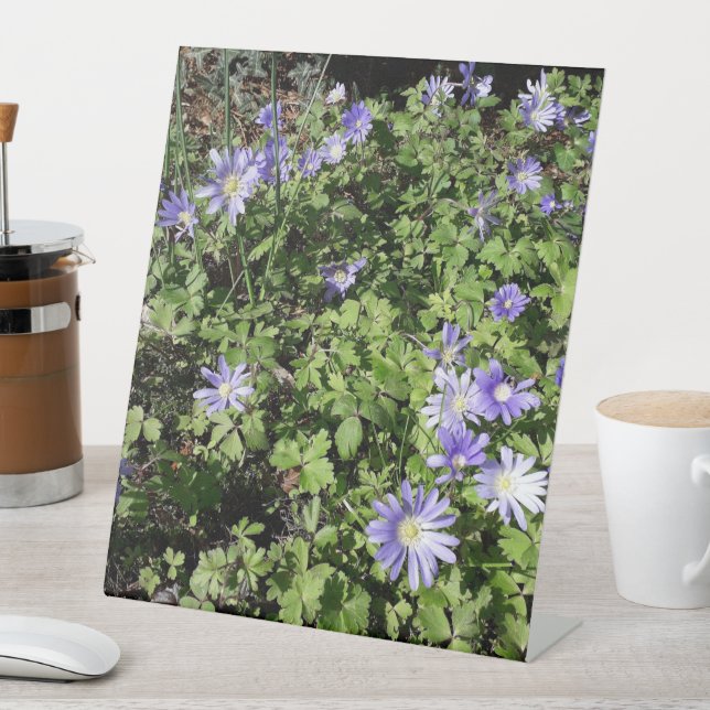 Viele Blume Sockelschild (In Situ)