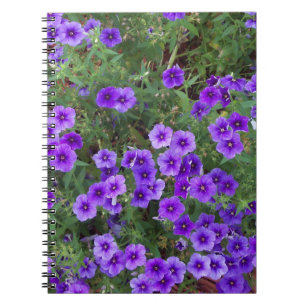 Viele dunkelviolette Phiox-Blüten Notizblock