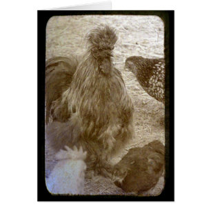 Viele Farben schließen