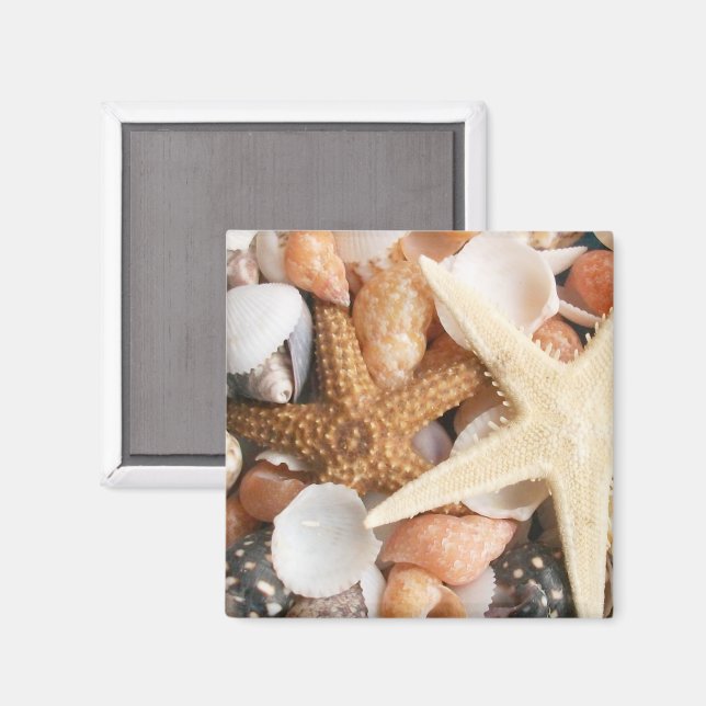 Viele farbenfrohe Muscheln Magnet (Vorderseite/Rückseite)