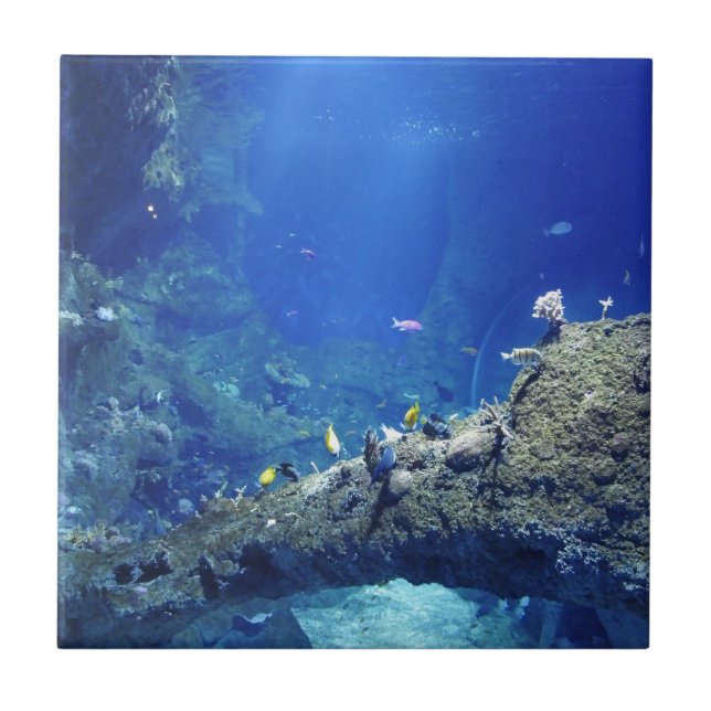 Viele Fische Fliese (Vorderseite)