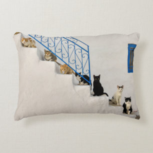 Viele Katzen auf einer weißen Treppe in einem grie Dekokissen