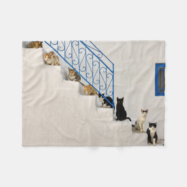 Viele Katzen auf einer weißen Treppe in einem grie Fleecedecke (Vorderseite (Horizontal))
