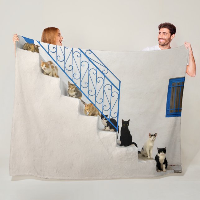 Viele Katzen auf einer weißen Treppe in einem grie Fleecedecke (Beispiel)