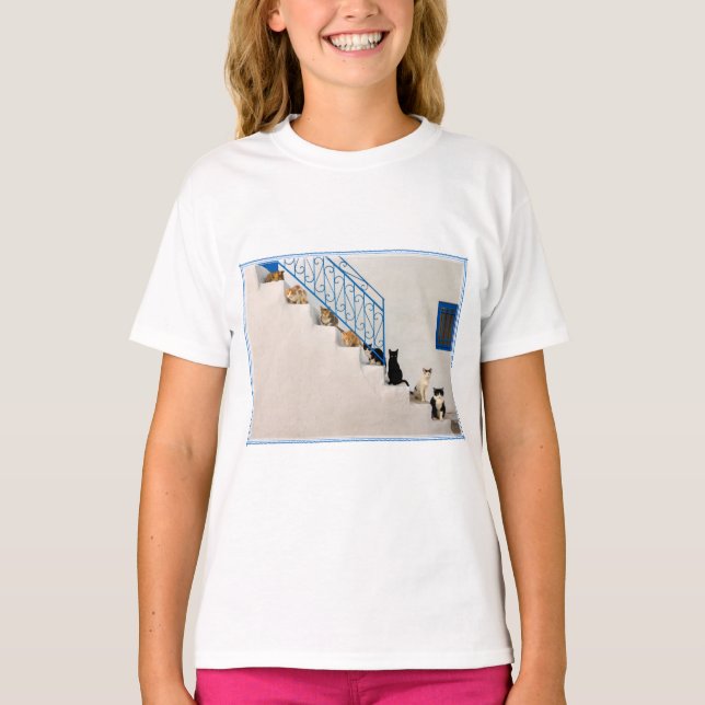 Viele Katzen auf einer weißen Treppe in einem grie T-Shirt (Vorderseite)