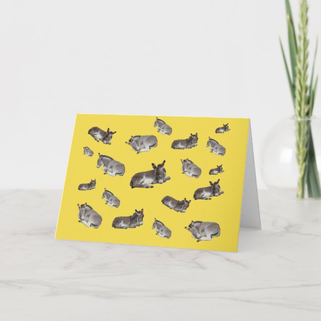 Viele kleine Donkeys Karte (Vorderseite)