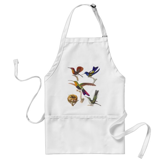 Viele mehrfarbigen Kolibris auf einer Schürze (Vorne)