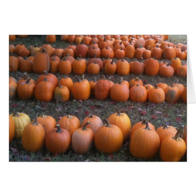 VIELE PUMPKINS ERNTEDANK (Vorderseite (Horizontal))